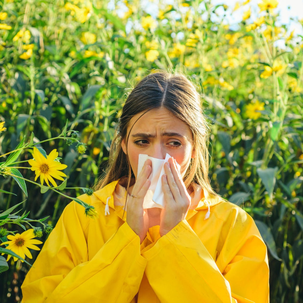 Look and stay healthy - thanks to optimal humidity