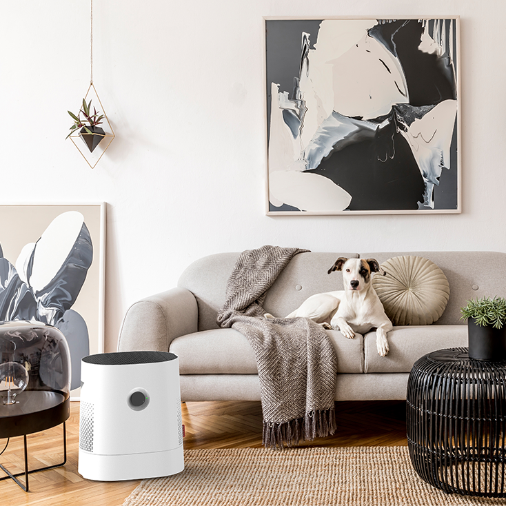 Luftwäscher Luftbefeuchter W220